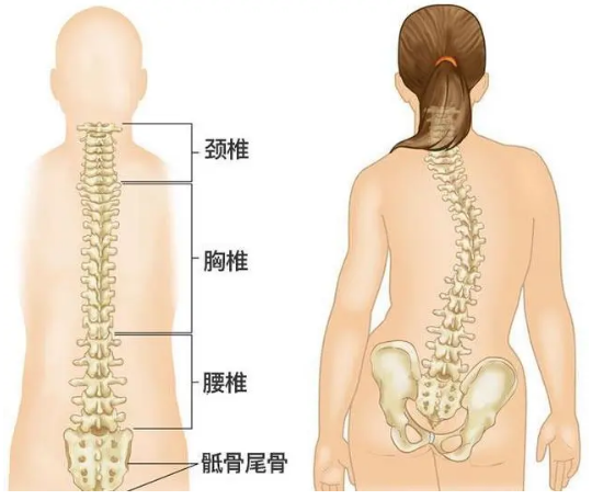 发家圈 - 圈出你的暴富之路